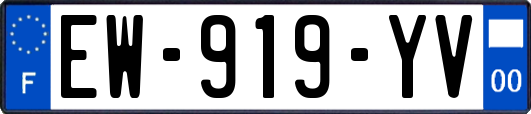 EW-919-YV