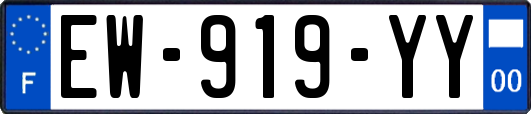EW-919-YY