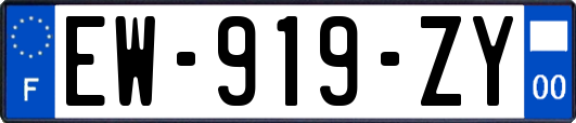 EW-919-ZY
