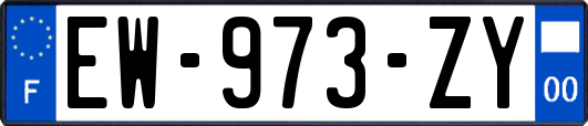 EW-973-ZY