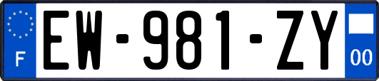 EW-981-ZY