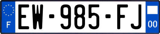 EW-985-FJ