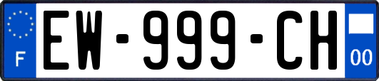 EW-999-CH