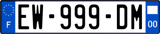 EW-999-DM