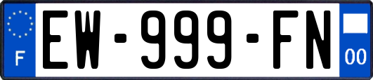 EW-999-FN