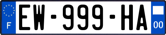 EW-999-HA
