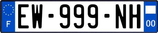 EW-999-NH