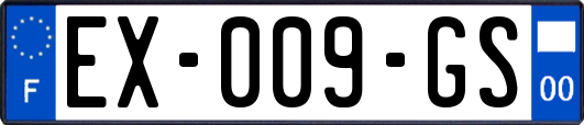 EX-009-GS