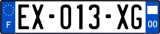 EX-013-XG