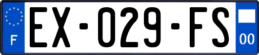 EX-029-FS