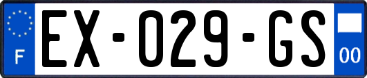 EX-029-GS