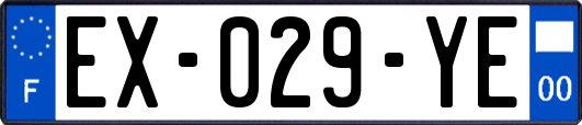 EX-029-YE