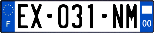 EX-031-NM