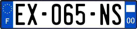 EX-065-NS