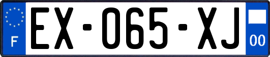 EX-065-XJ