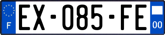 EX-085-FE