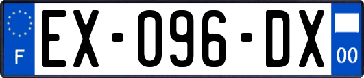 EX-096-DX