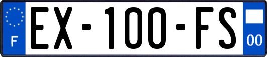 EX-100-FS