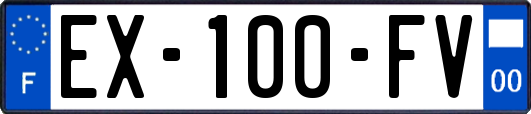 EX-100-FV