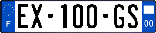 EX-100-GS