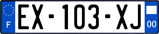 EX-103-XJ