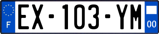 EX-103-YM