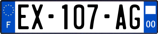 EX-107-AG