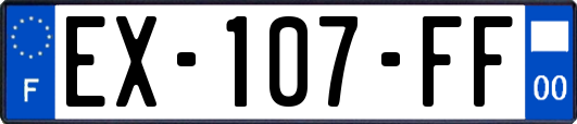 EX-107-FF