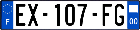 EX-107-FG