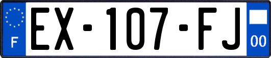 EX-107-FJ