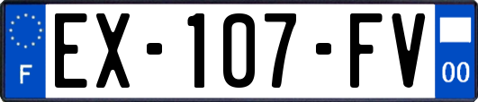 EX-107-FV