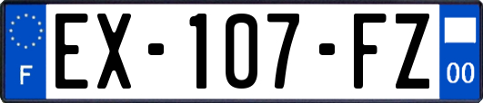 EX-107-FZ