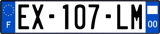 EX-107-LM