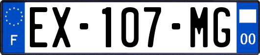 EX-107-MG