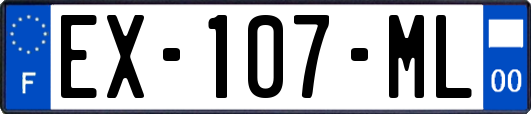 EX-107-ML