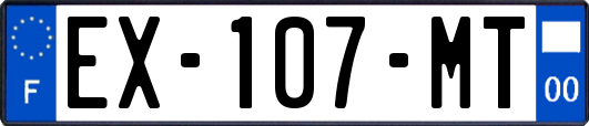 EX-107-MT