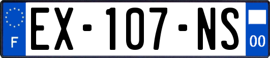 EX-107-NS