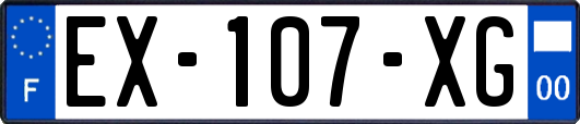 EX-107-XG