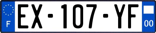 EX-107-YF