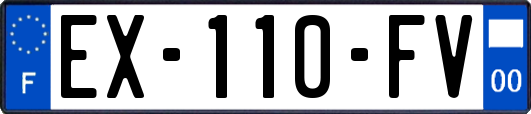 EX-110-FV