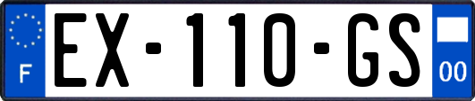EX-110-GS