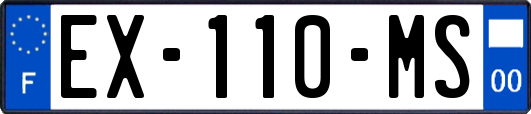 EX-110-MS