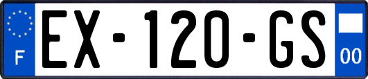 EX-120-GS