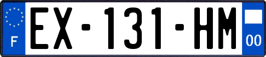 EX-131-HM
