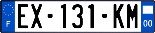 EX-131-KM
