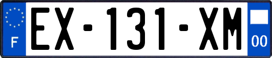 EX-131-XM