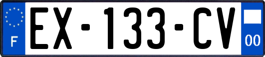 EX-133-CV