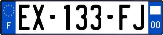 EX-133-FJ
