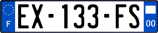 EX-133-FS