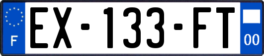 EX-133-FT